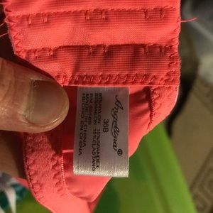 36b Angelina Bra